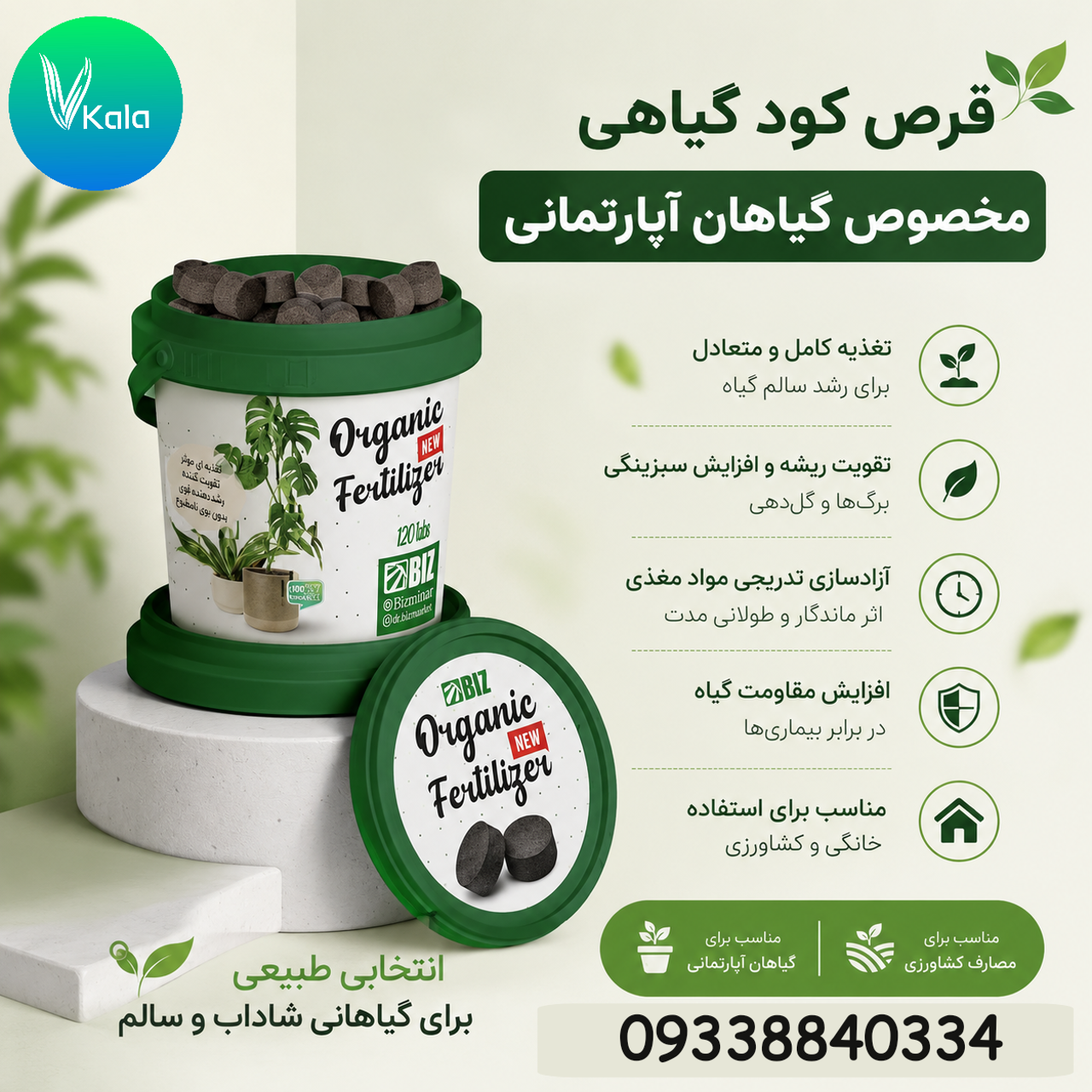 کاشت گردو در گلدان